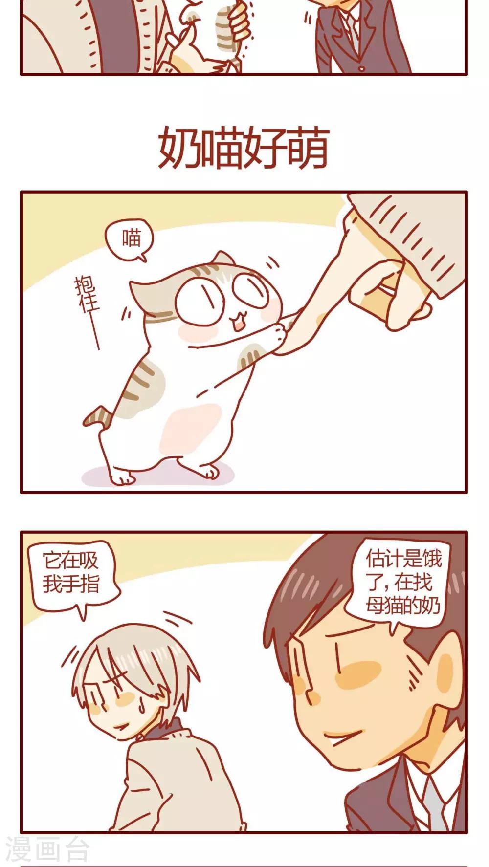 《猫咪甜品屋》第52话 第5页