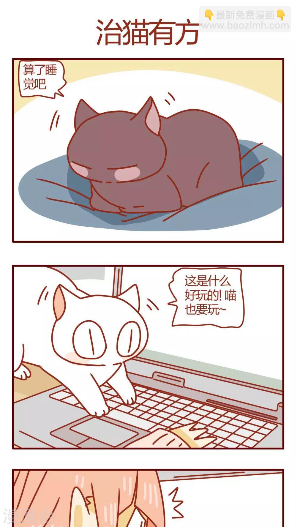 《猫咪甜品屋》第55话 第9页