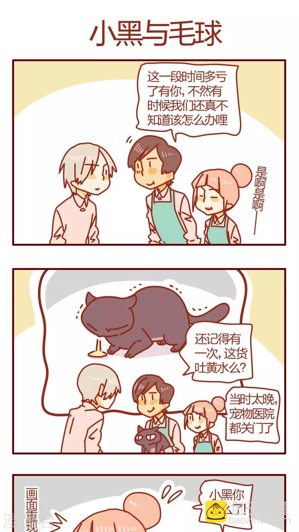 《猫咪甜品屋》第56话 第5页