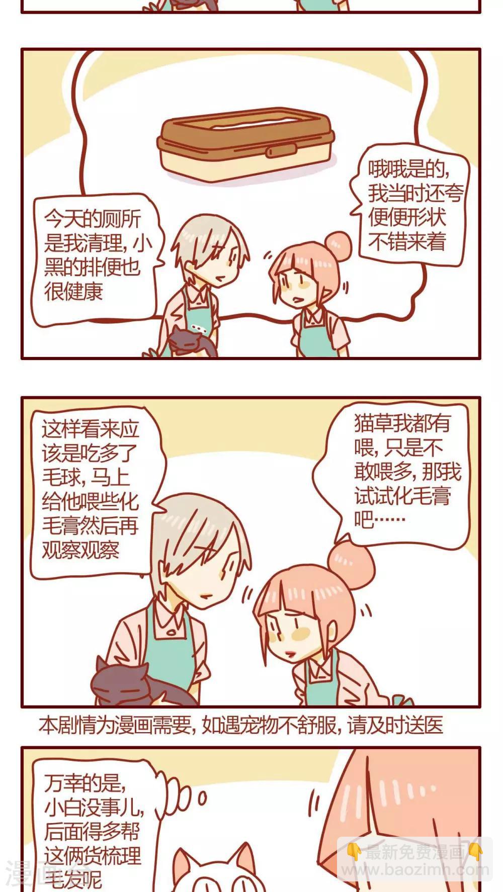《猫咪甜品屋》第56话 第7页