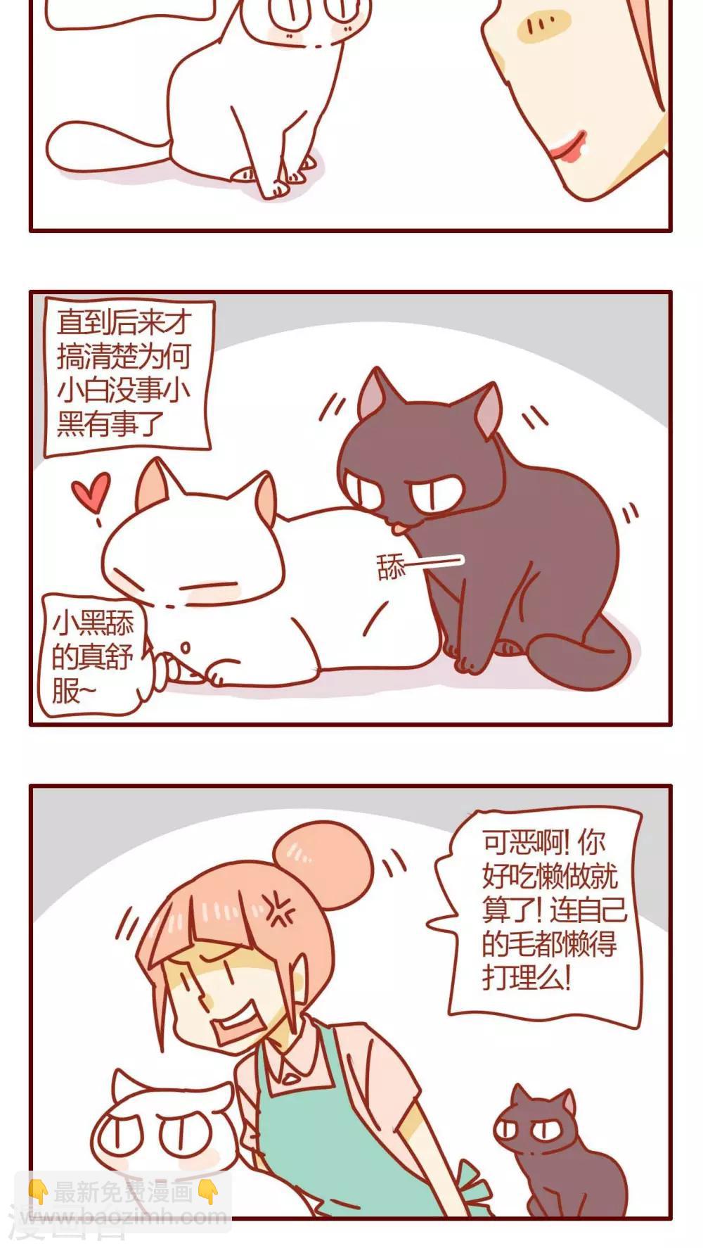 《猫咪甜品屋》第56话 第8页