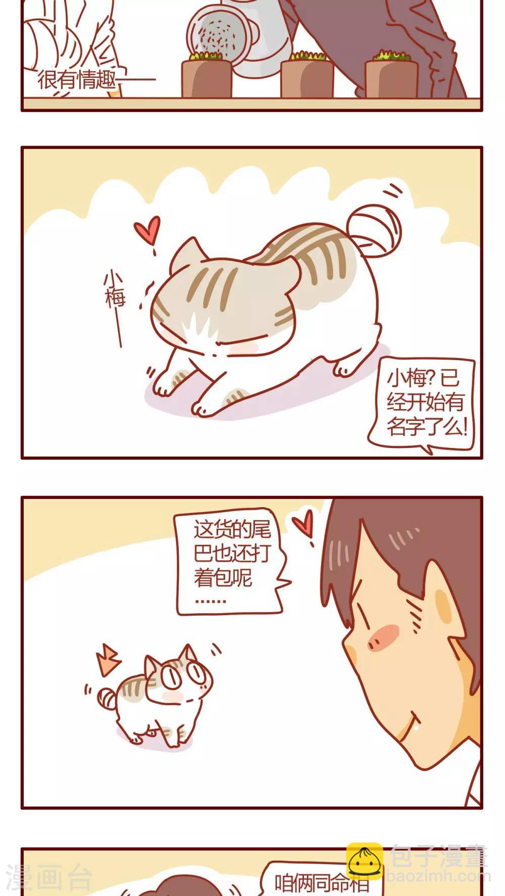 《猫咪甜品屋》第53话 第3页