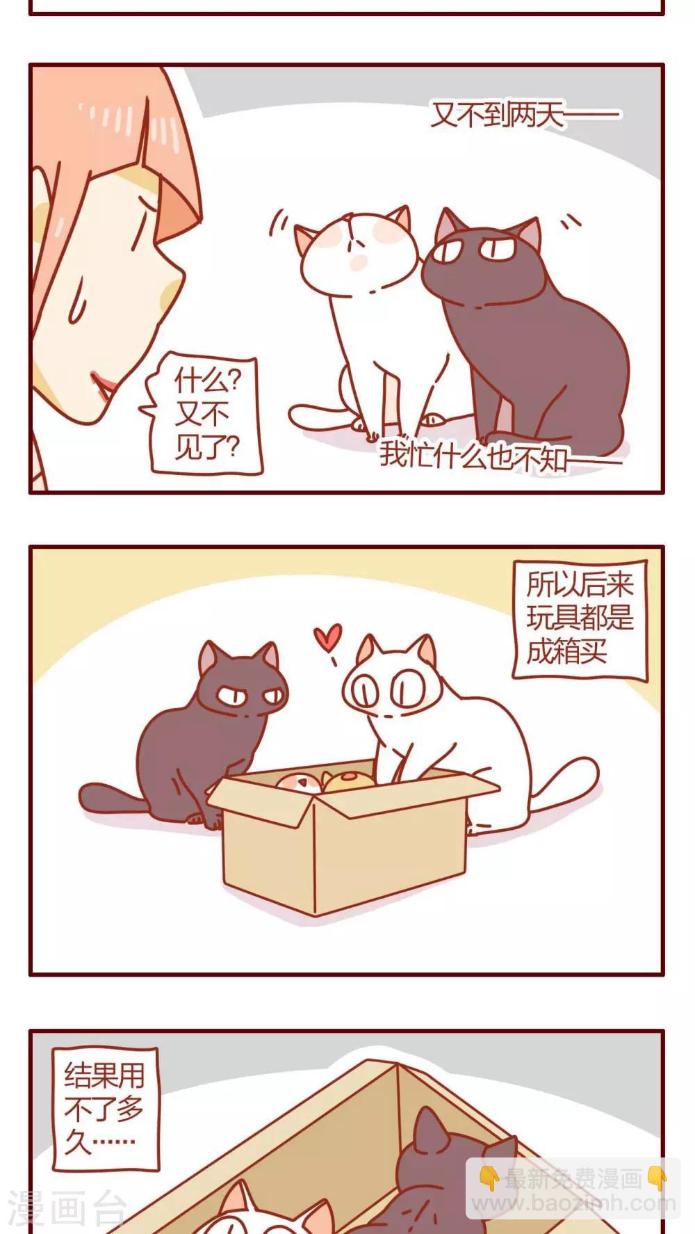 《猫咪甜品屋》第54话 第15页
