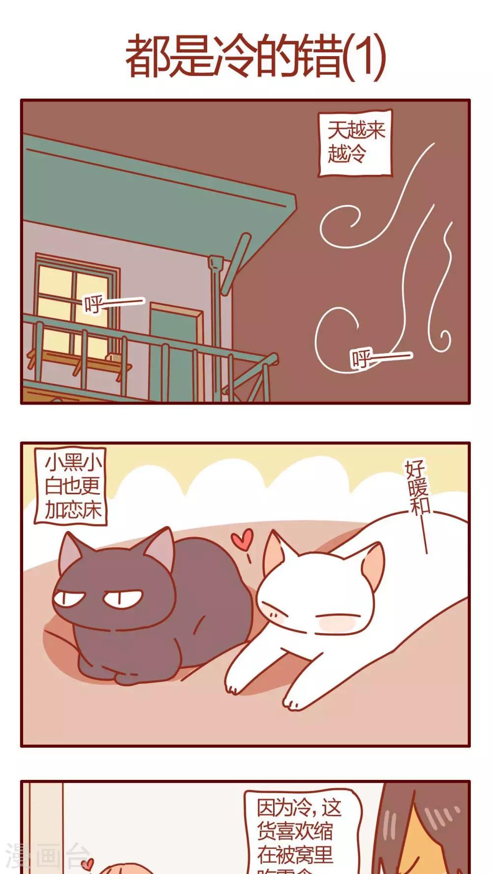 《猫咪甜品屋》第54话 第1页