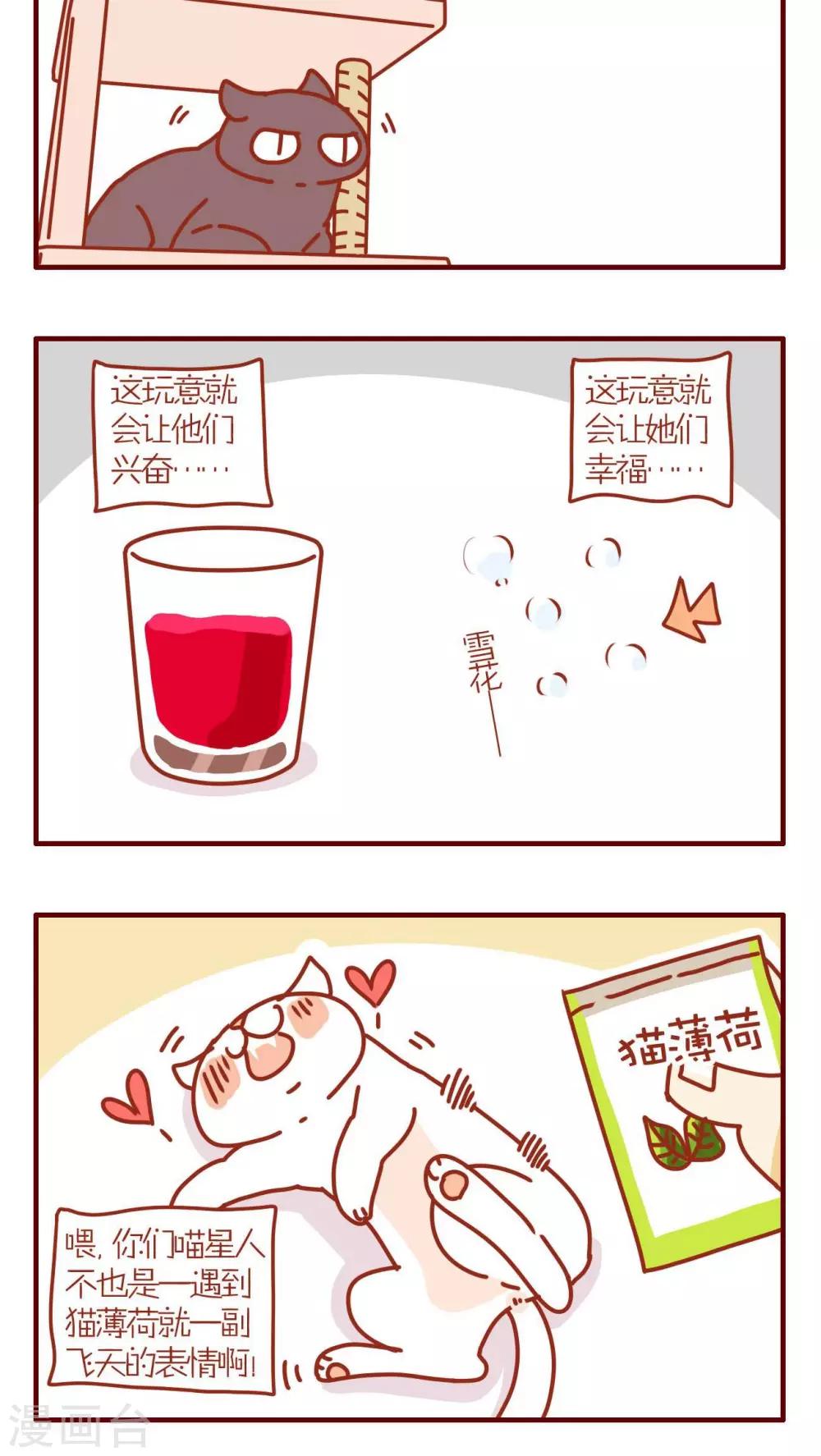 《猫咪甜品屋》第60话 第12页