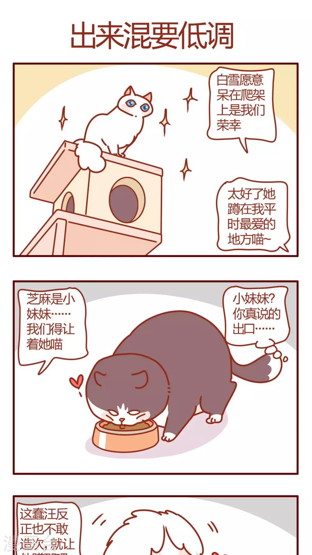 《猫咪甜品屋》第58话 第1页