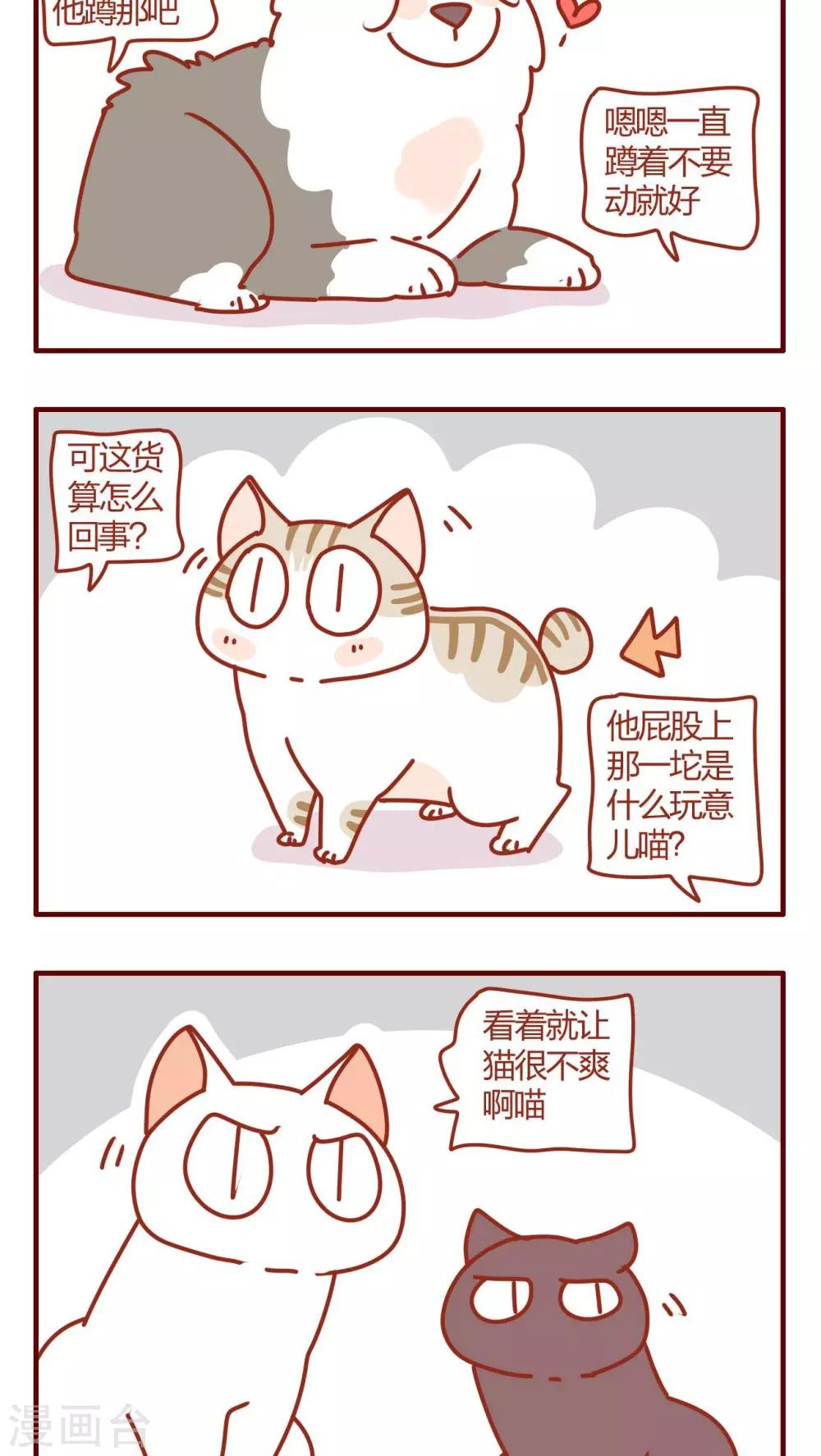 《猫咪甜品屋》第58话 第2页