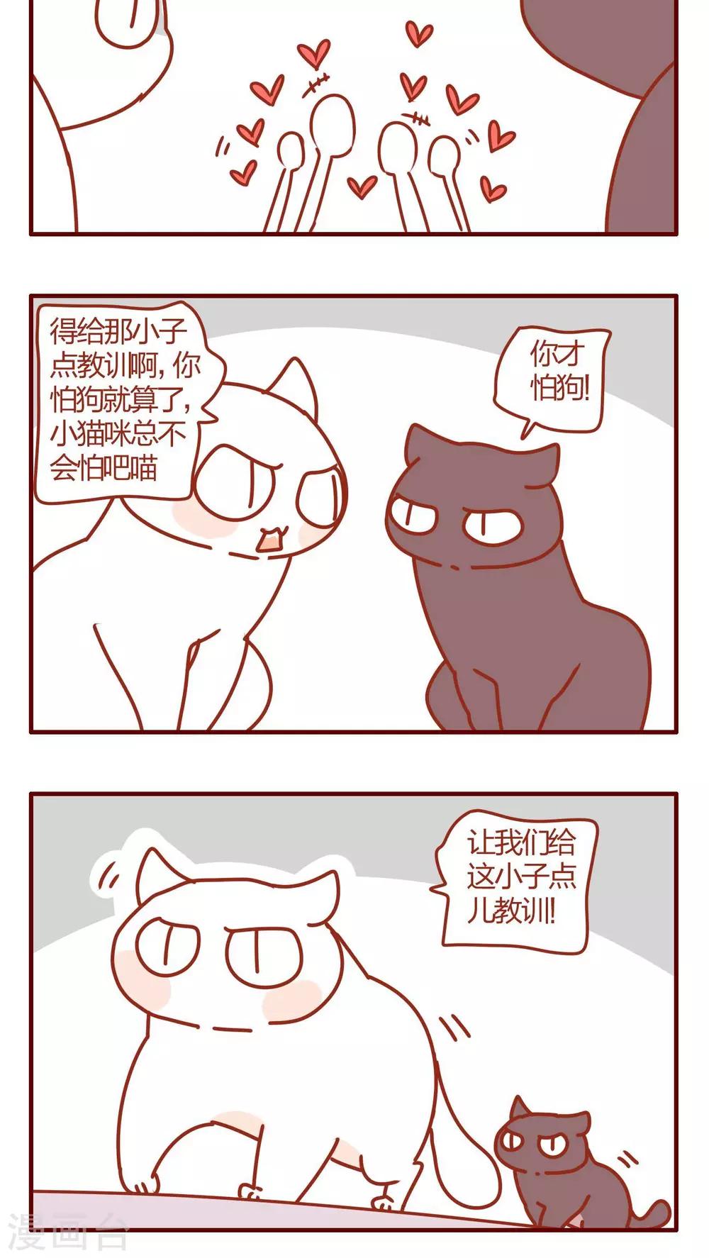 《猫咪甜品屋》第58话 第4页