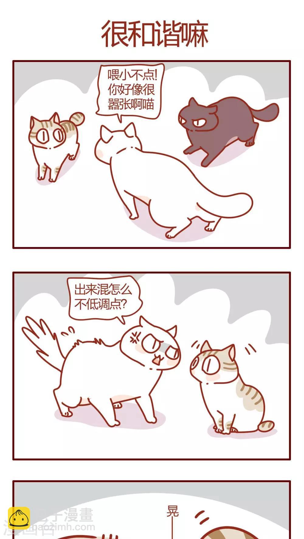 《猫咪甜品屋》第58话 第5页