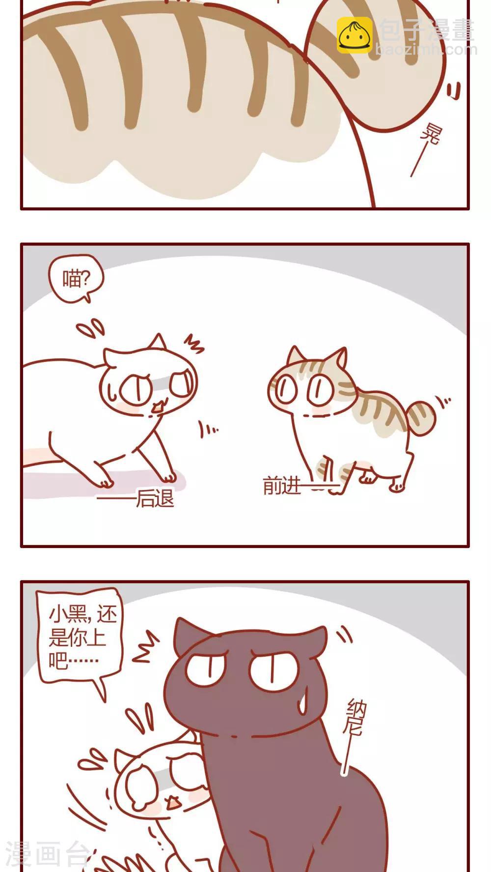 《猫咪甜品屋》第58话 第6页