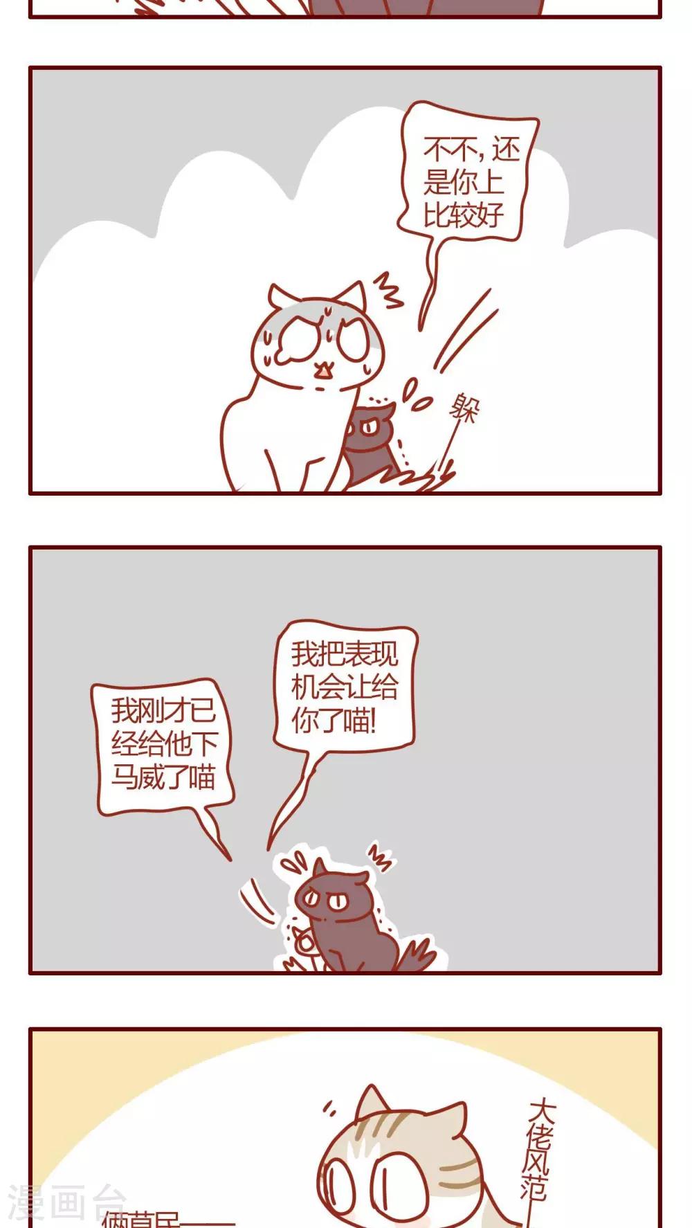 《猫咪甜品屋》第58话 第7页