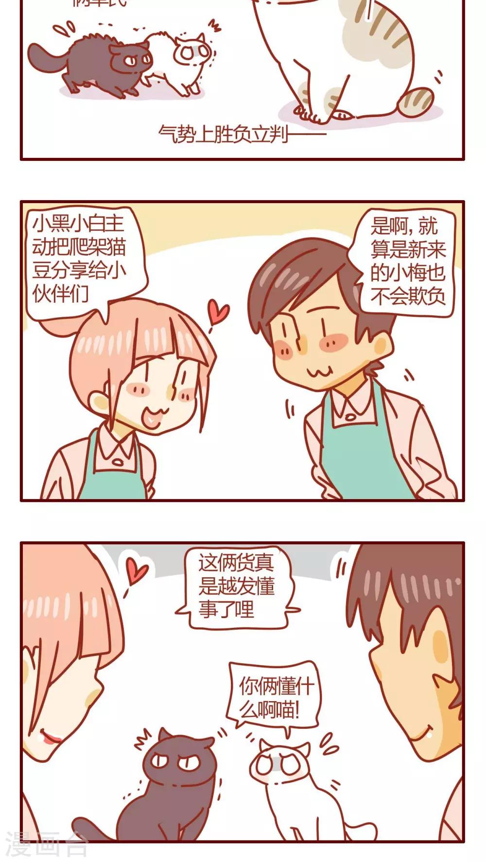 《猫咪甜品屋》第58话 第8页