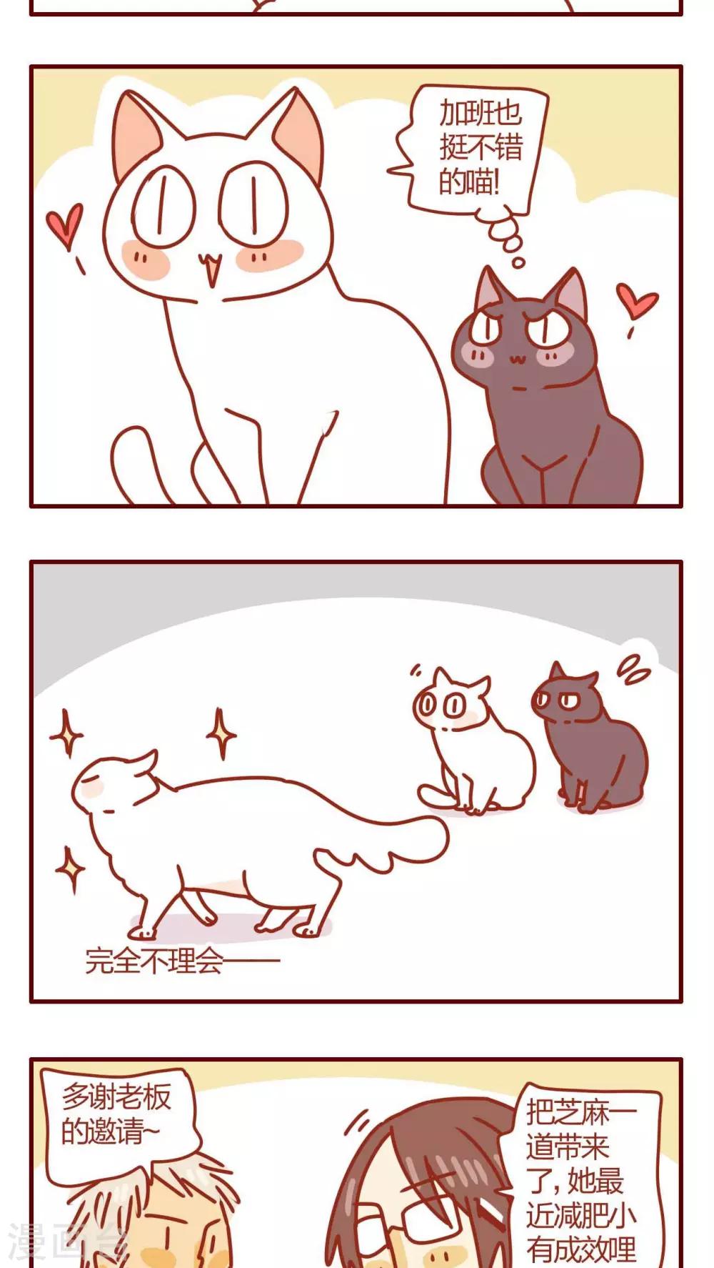 《猫咪甜品屋》第57话 第15页