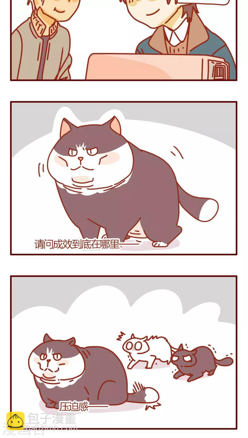 《猫咪甜品屋》第57话 第16页