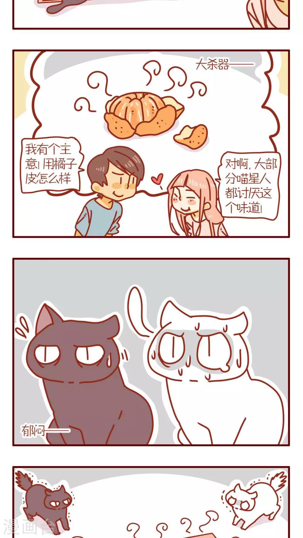 《猫咪甜品屋》第63话 第18页