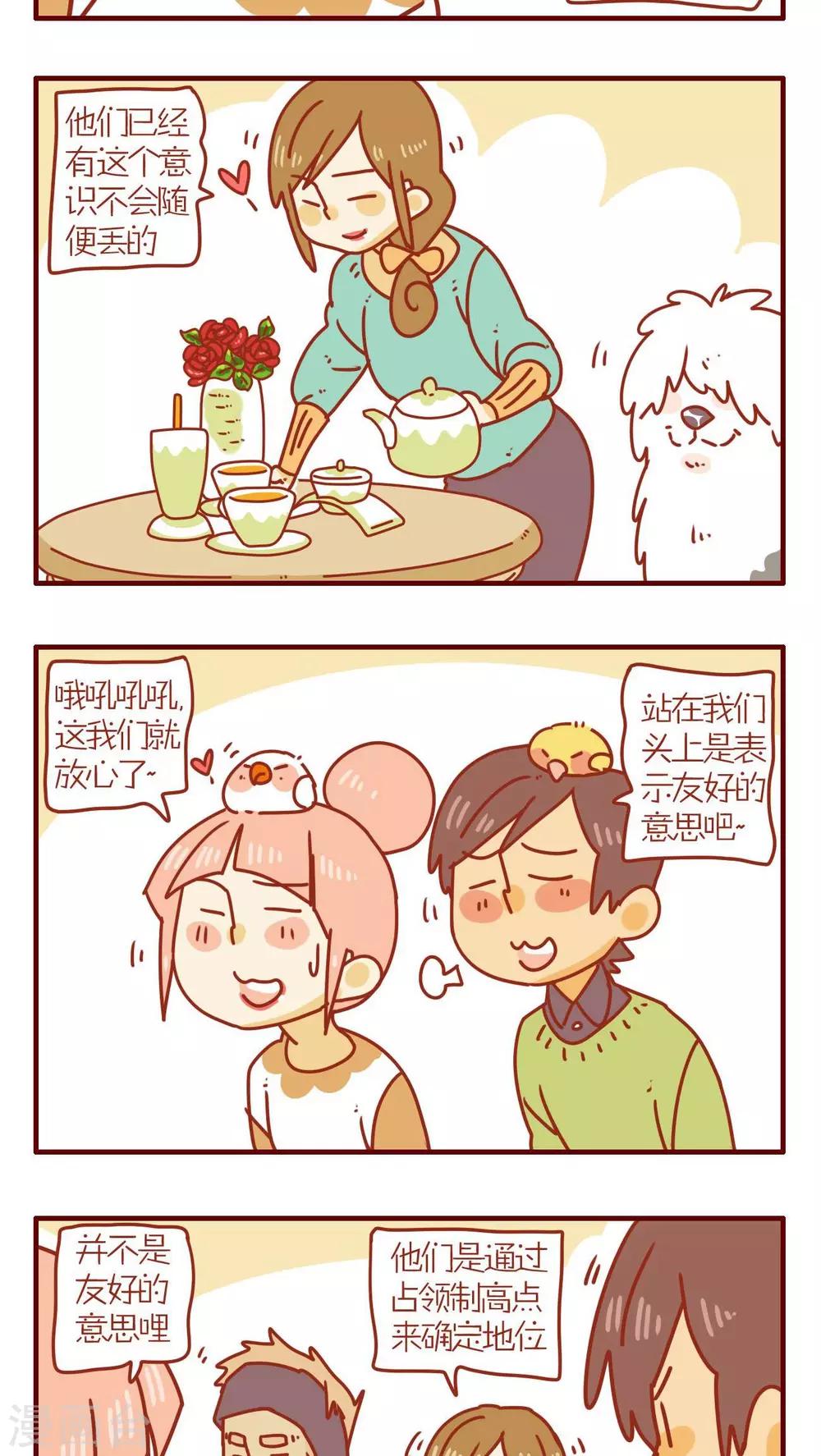 《猫咪甜品屋》第67话 第11页