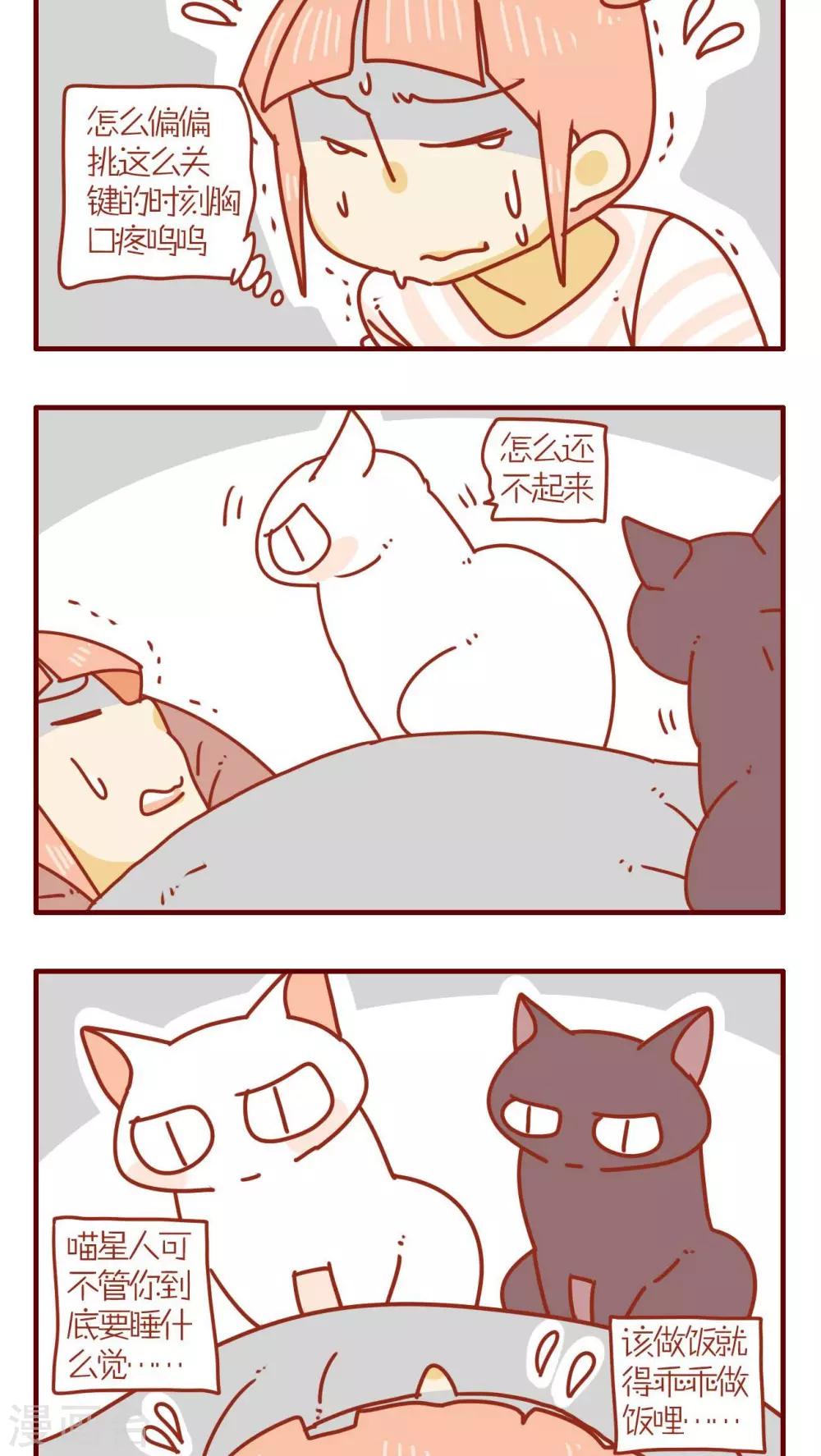 《猫咪甜品屋》第67话 第6页