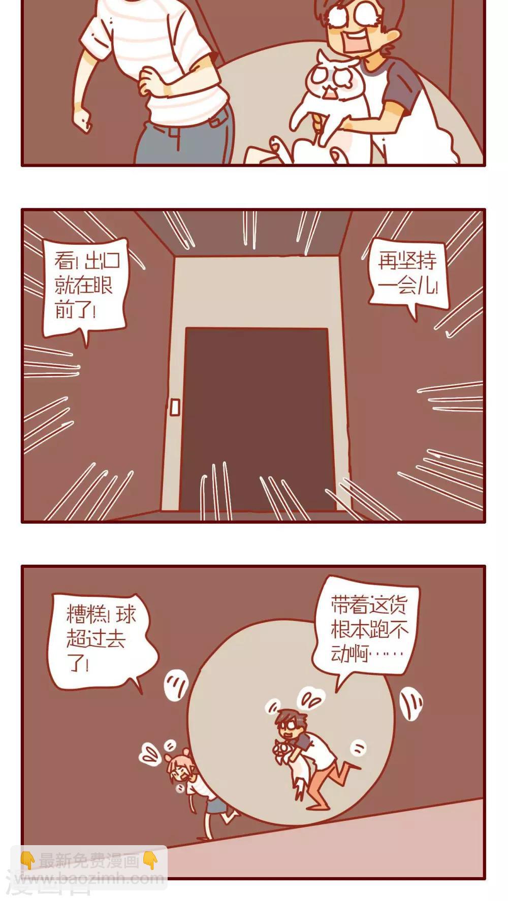 《猫咪甜品屋》第66话 第12页