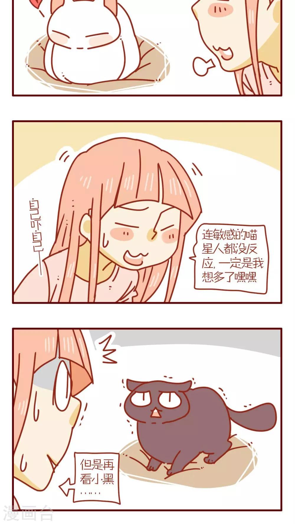 《猫咪甜品屋》第68话 第16页