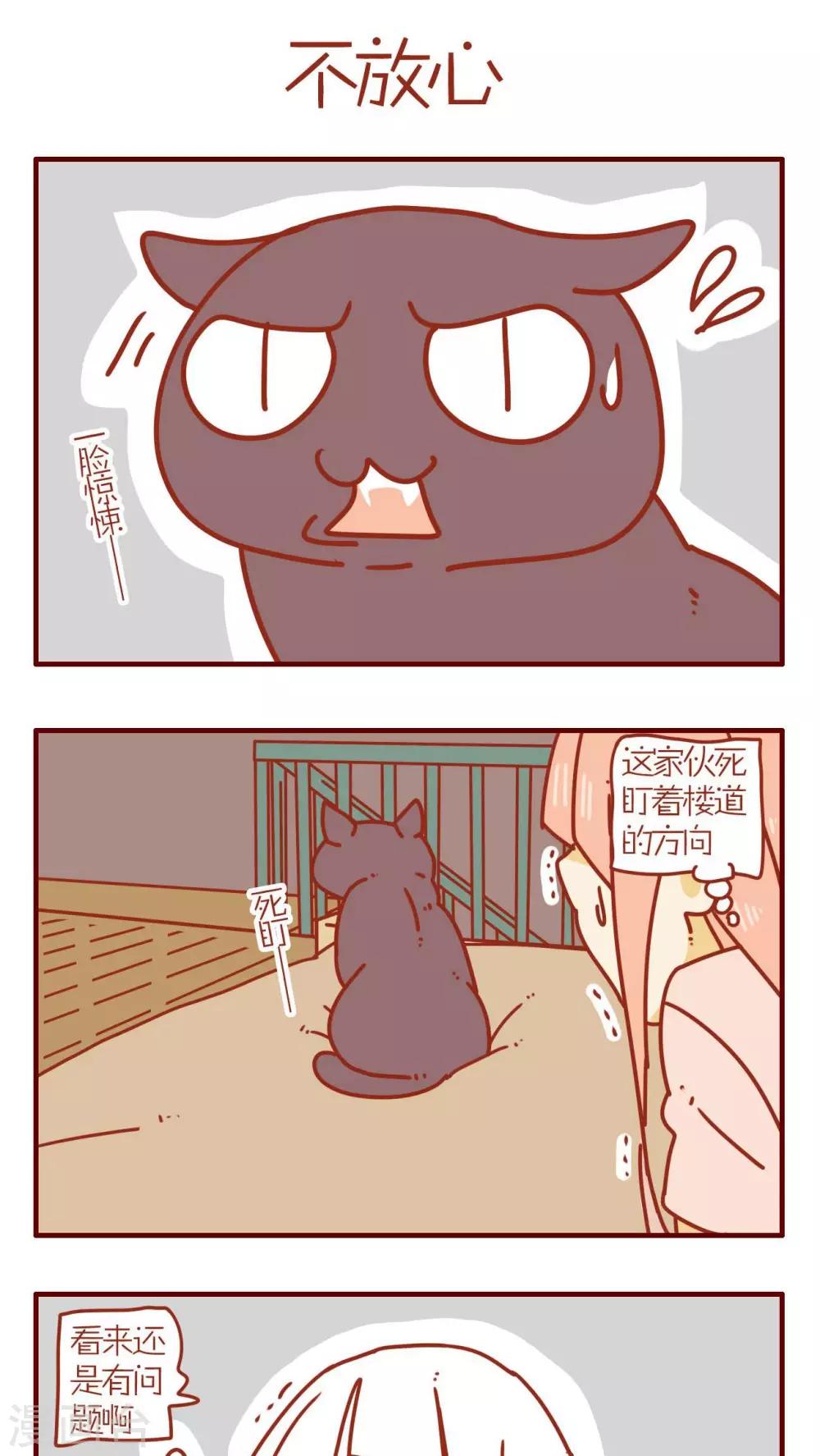 《猫咪甜品屋》第68话 第17页