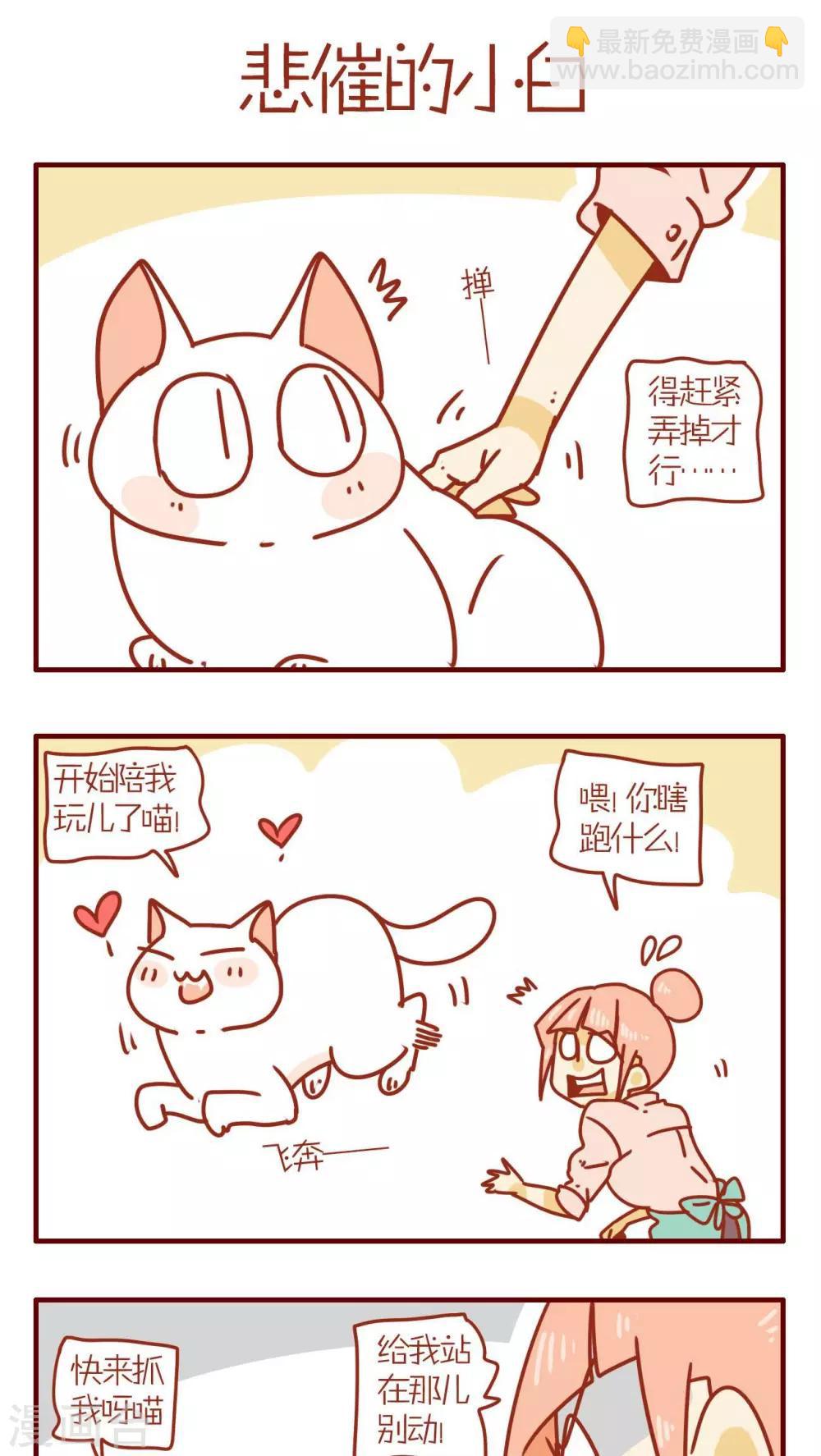 《猫咪甜品屋》第68话 第5页