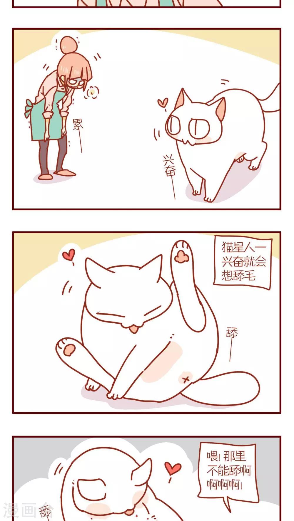 《猫咪甜品屋》第68话 第7页