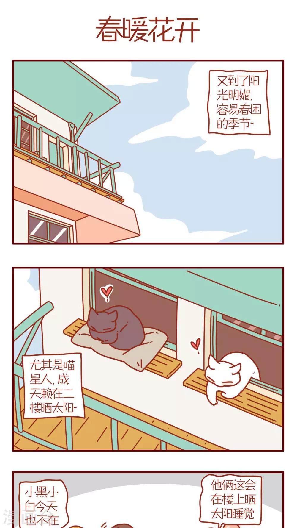 《猫咪甜品屋》第69话 第1页