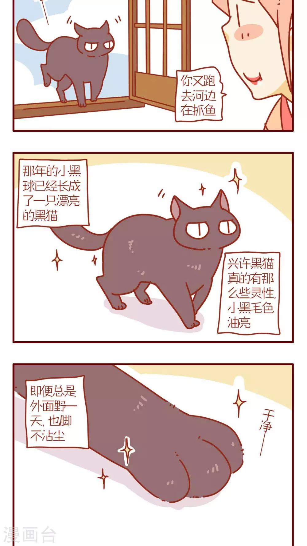 《猫咪甜品屋》第70话 第6页