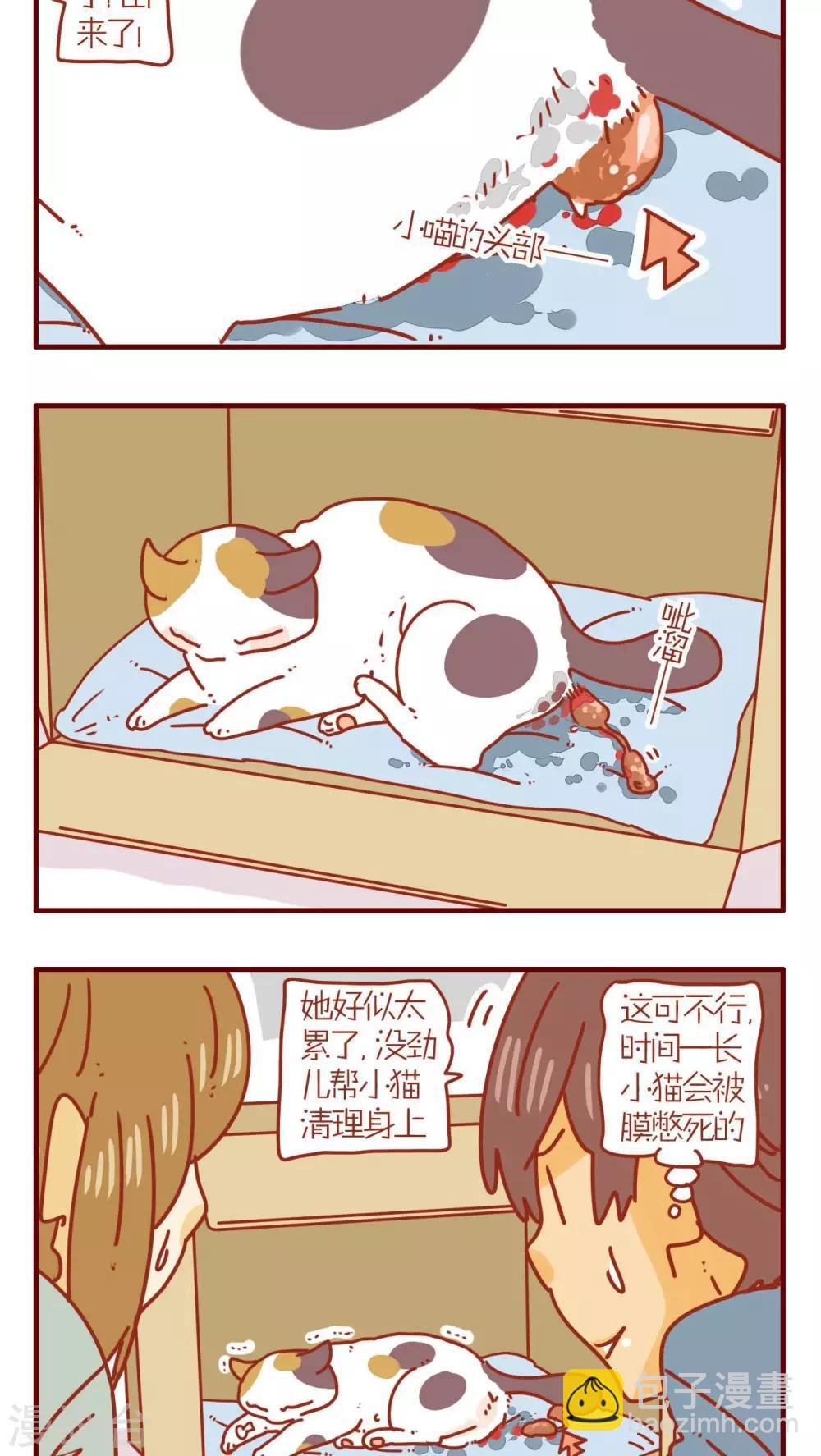 《猫咪甜品屋》第72话 第10页