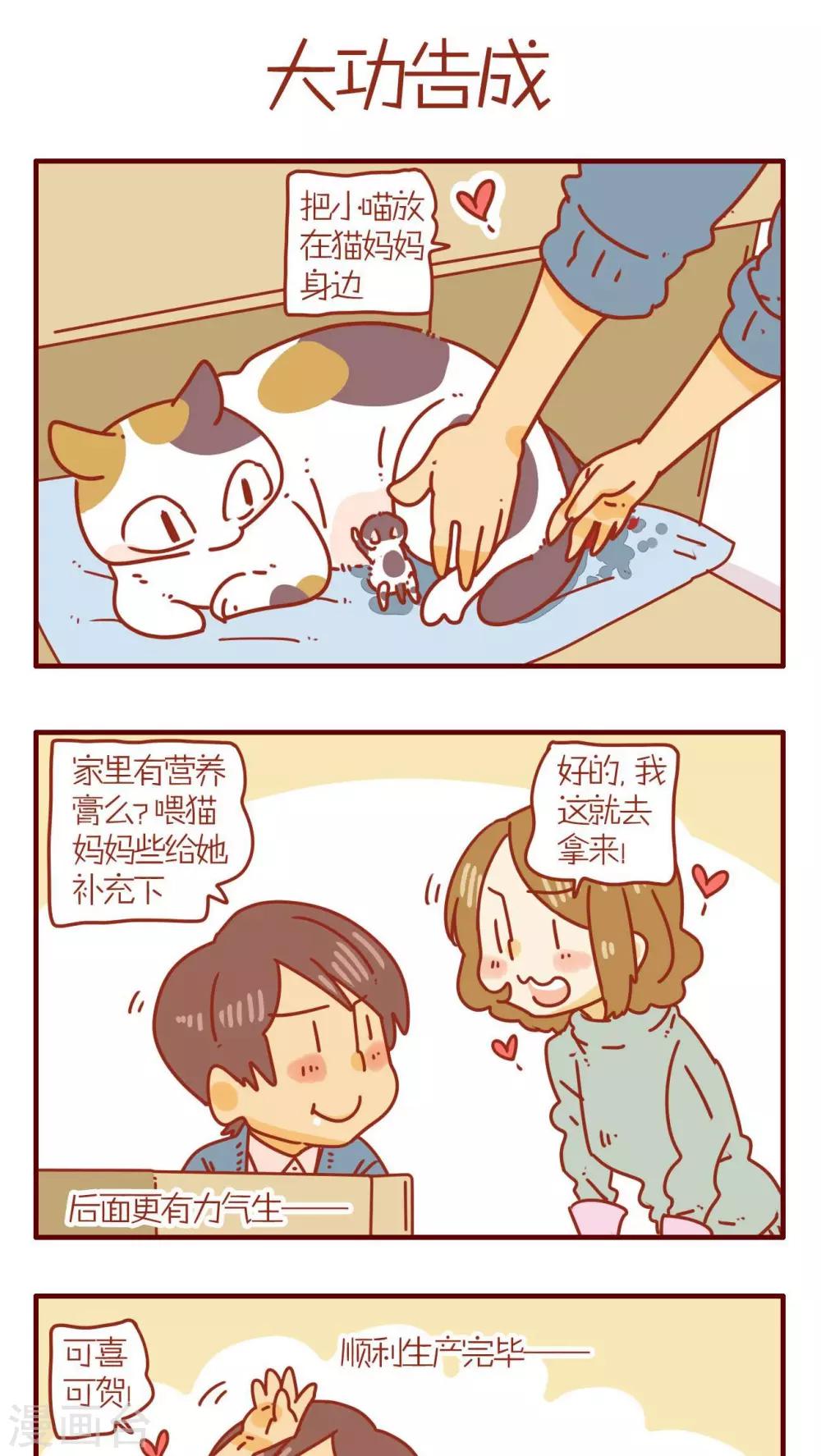 《猫咪甜品屋》第72话 第13页