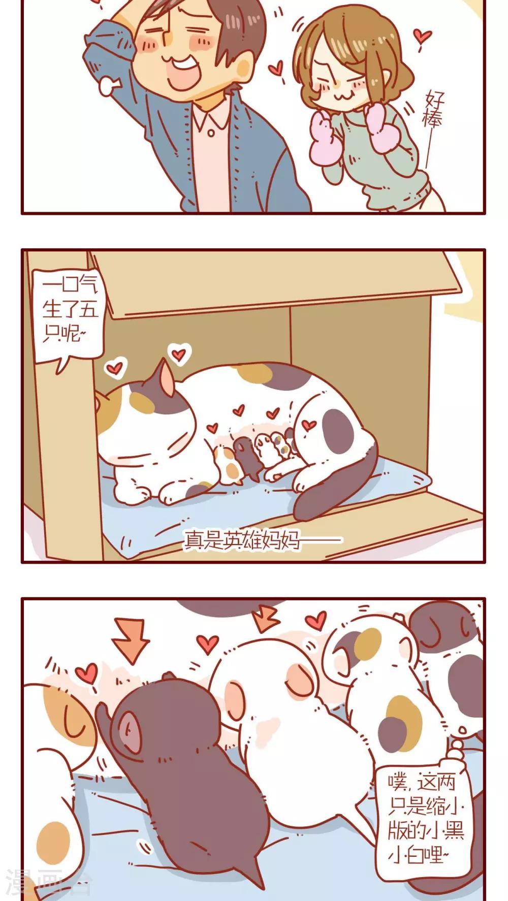 《猫咪甜品屋》第72话 第14页