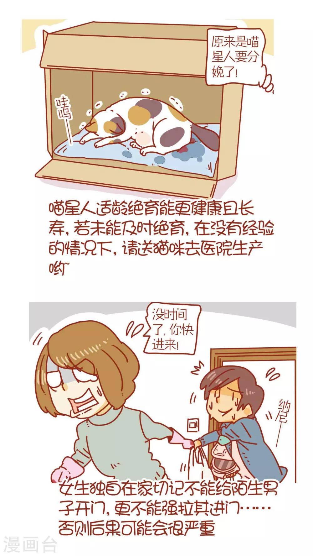 《猫咪甜品屋》第72话 第20页