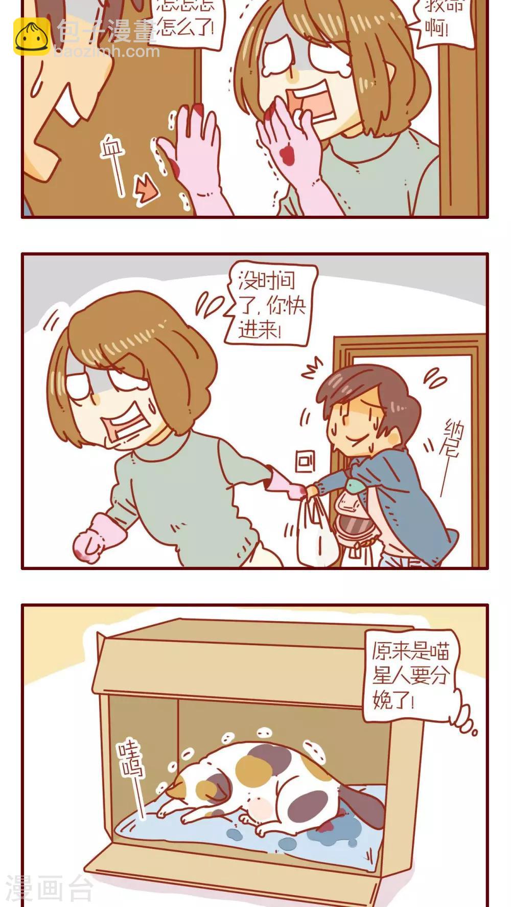 《猫咪甜品屋》第72话 第6页