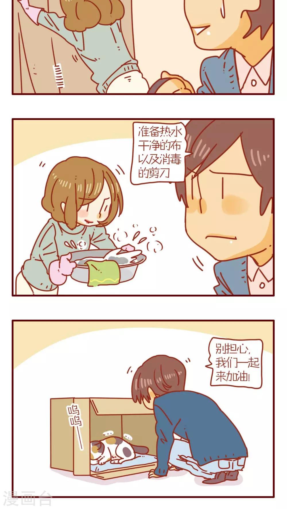 《猫咪甜品屋》第72话 第8页
