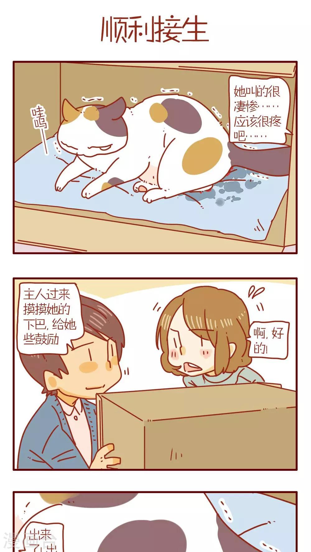 《猫咪甜品屋》第72话 第9页