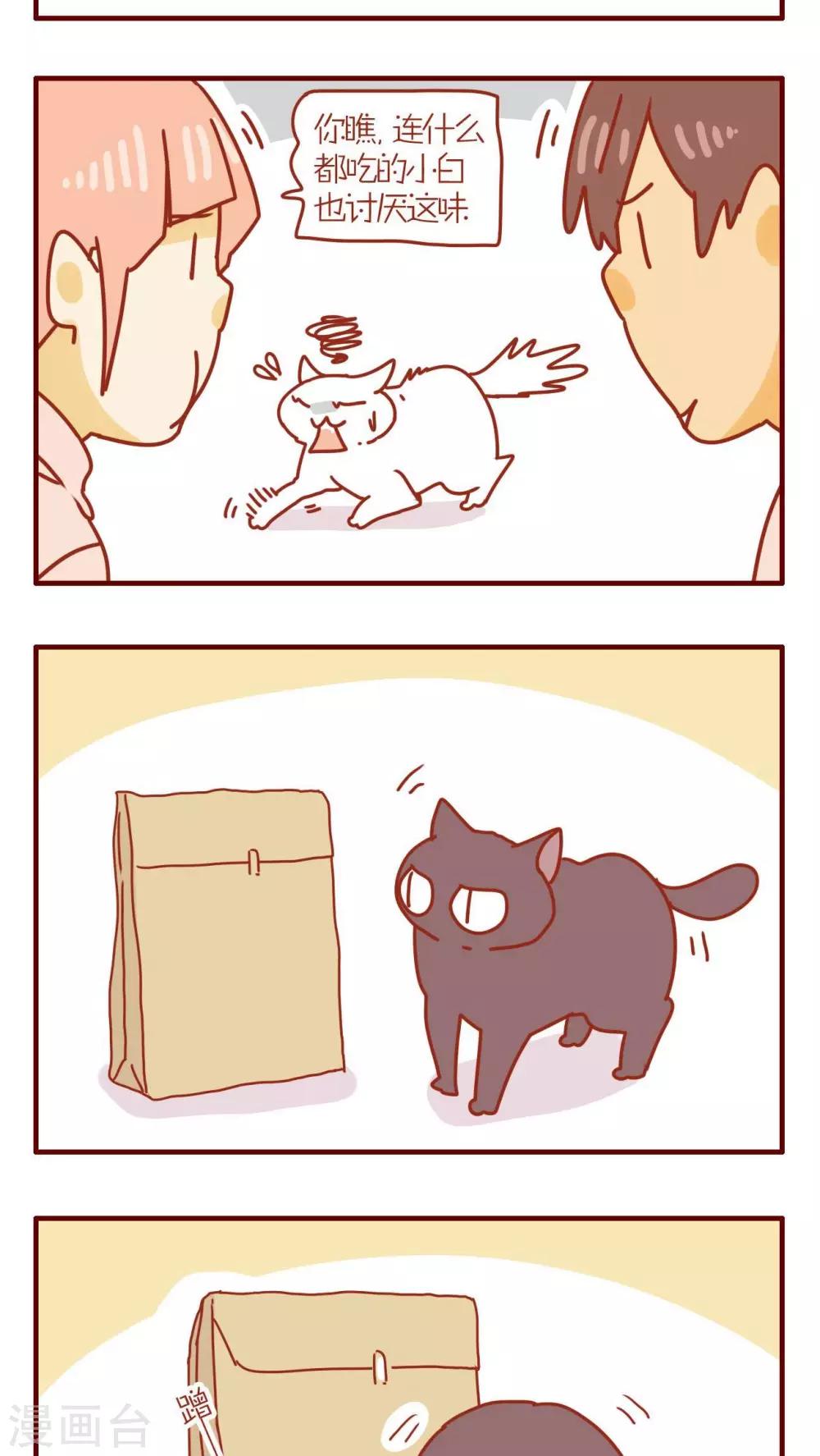 《猫咪甜品屋》第74话 第11页