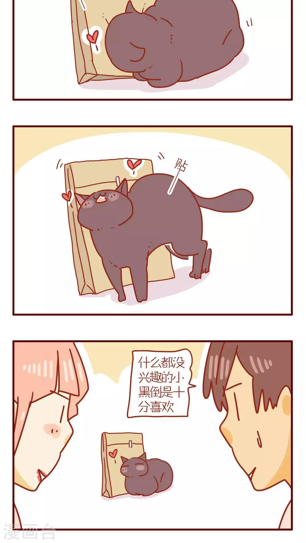 《猫咪甜品屋》第74话 第12页