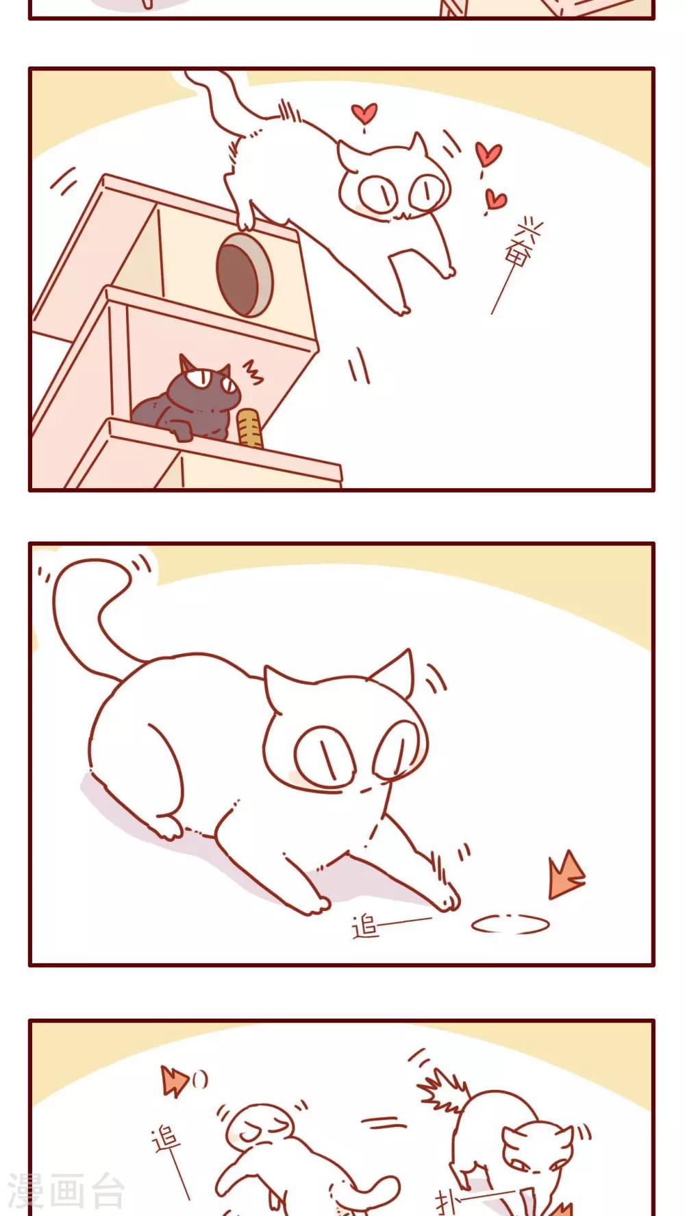 《猫咪甜品屋》第73话 第3页