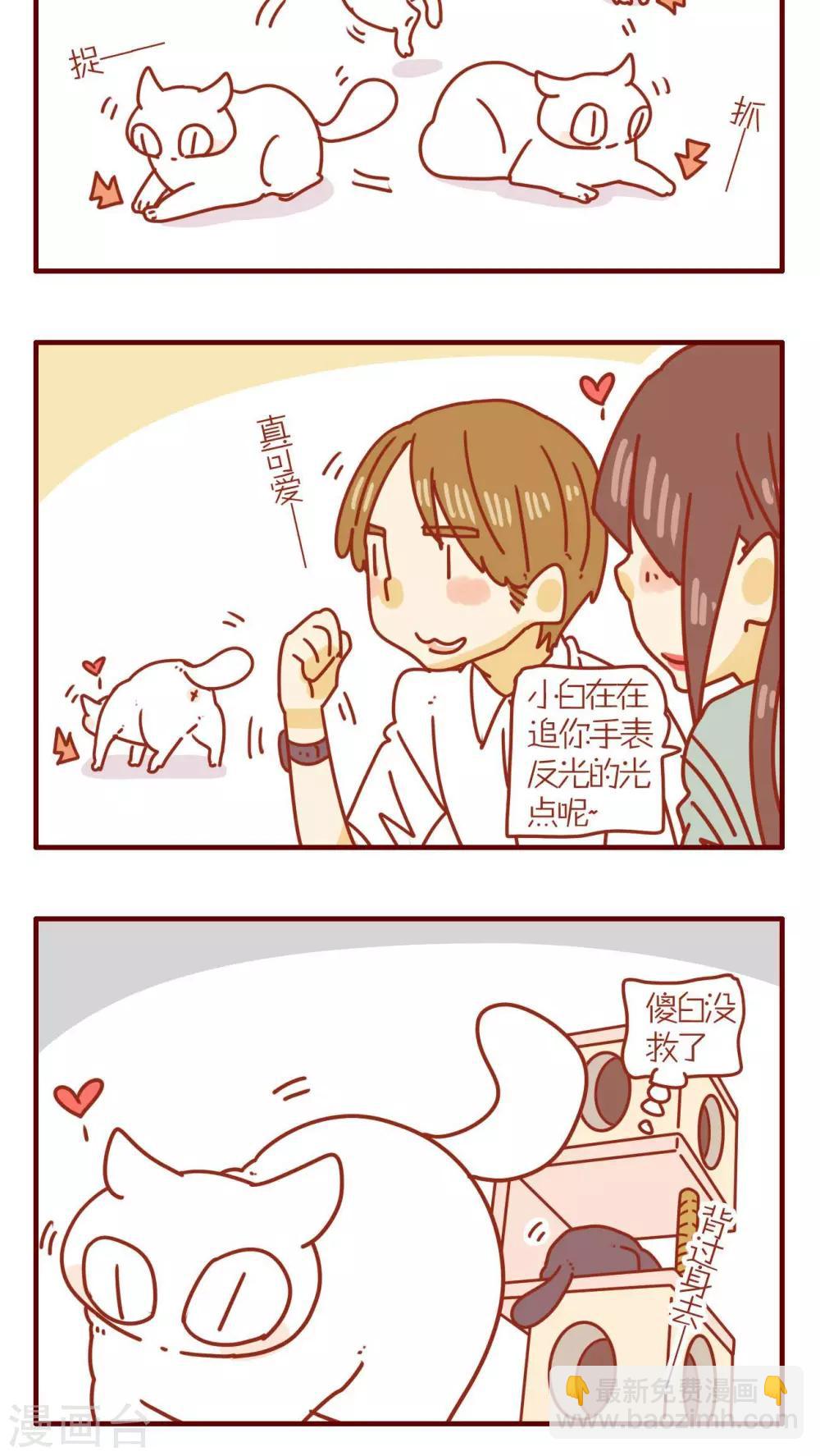 《猫咪甜品屋》第73话 第4页