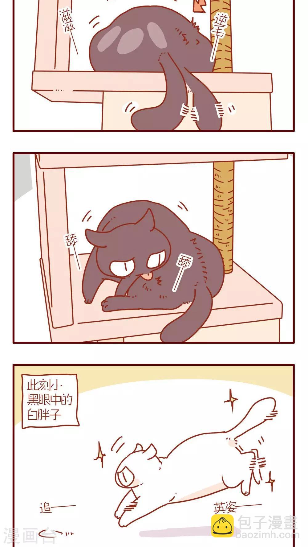 《猫咪甜品屋》第73话 第6页