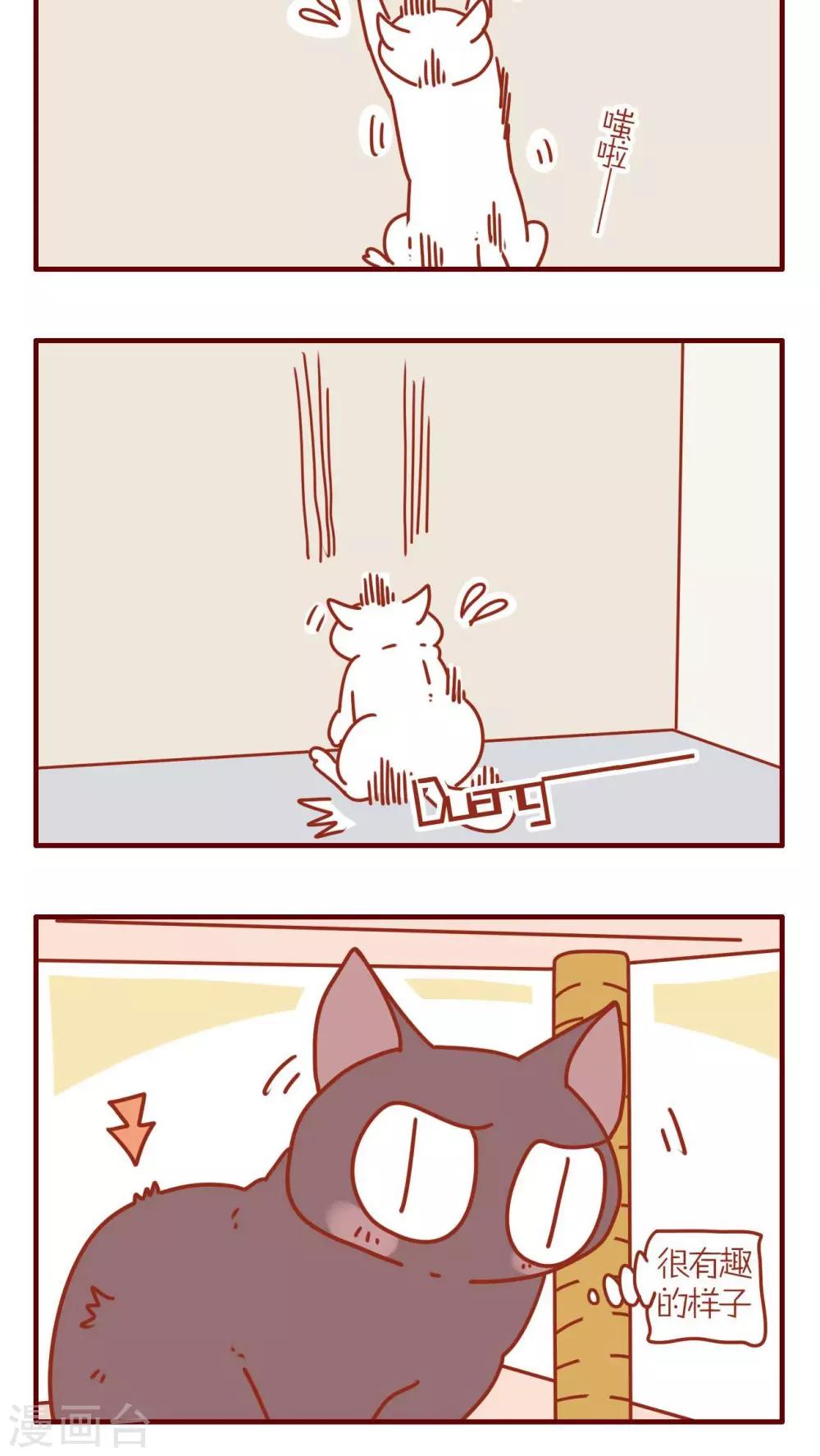 《猫咪甜品屋》第73话 第8页
