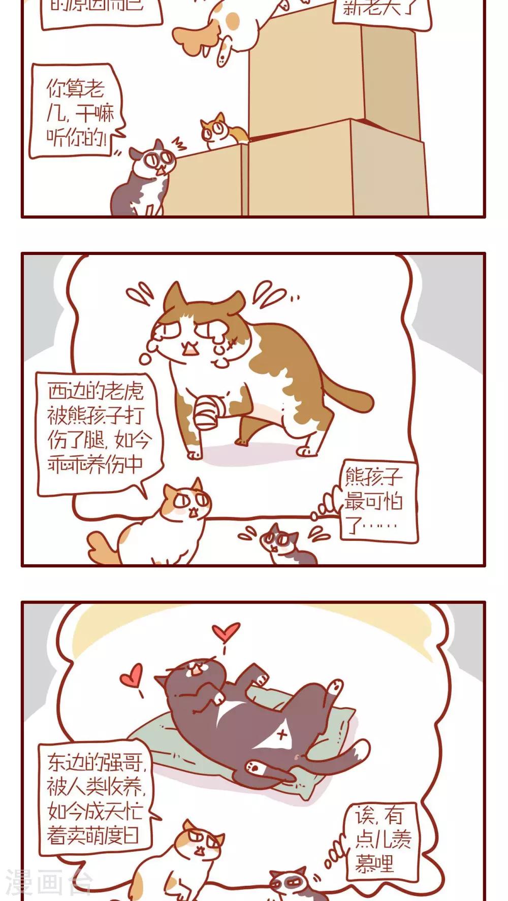 《猫咪甜品屋》第77话 第2页