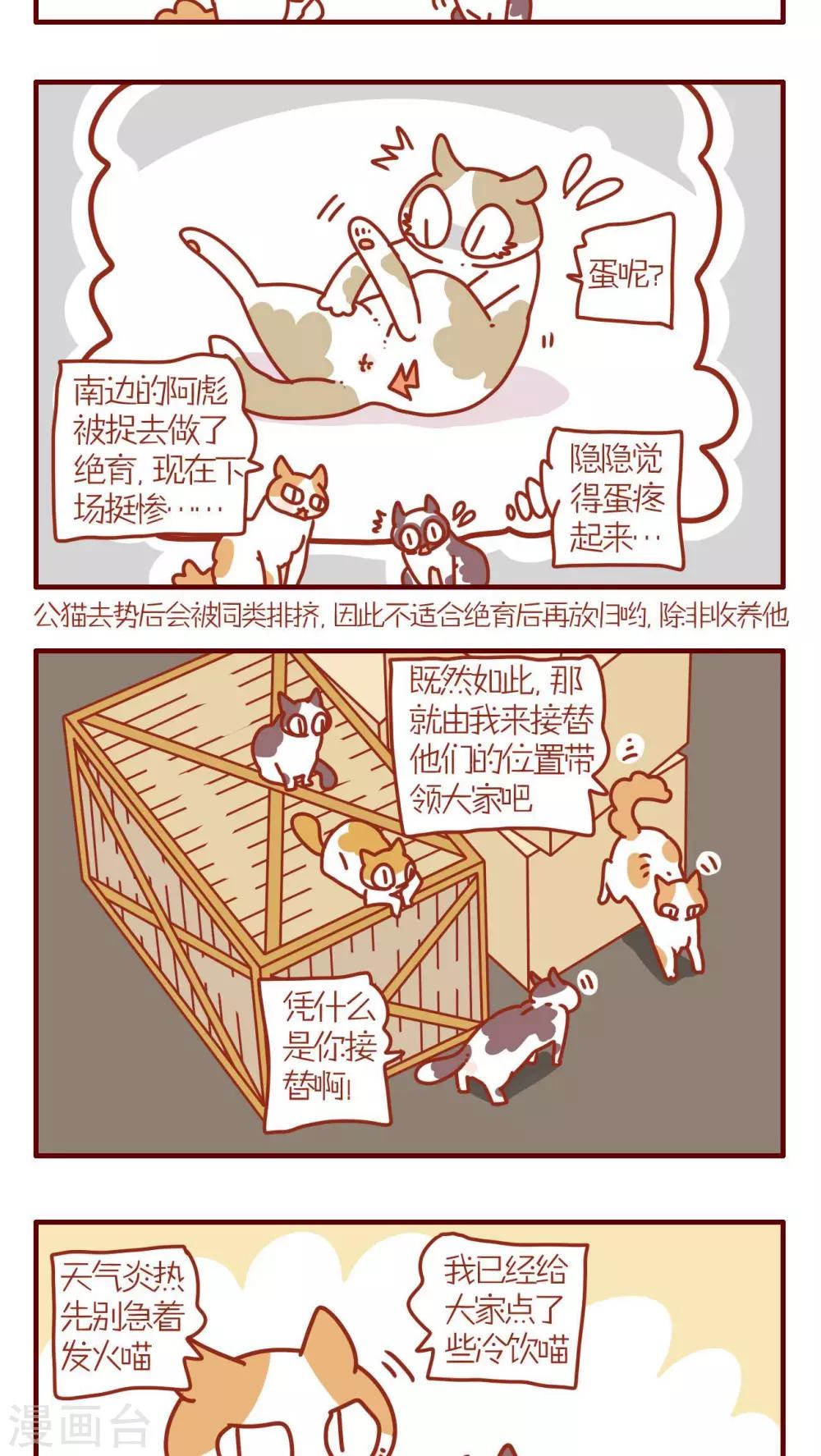 《猫咪甜品屋》第77话 第3页