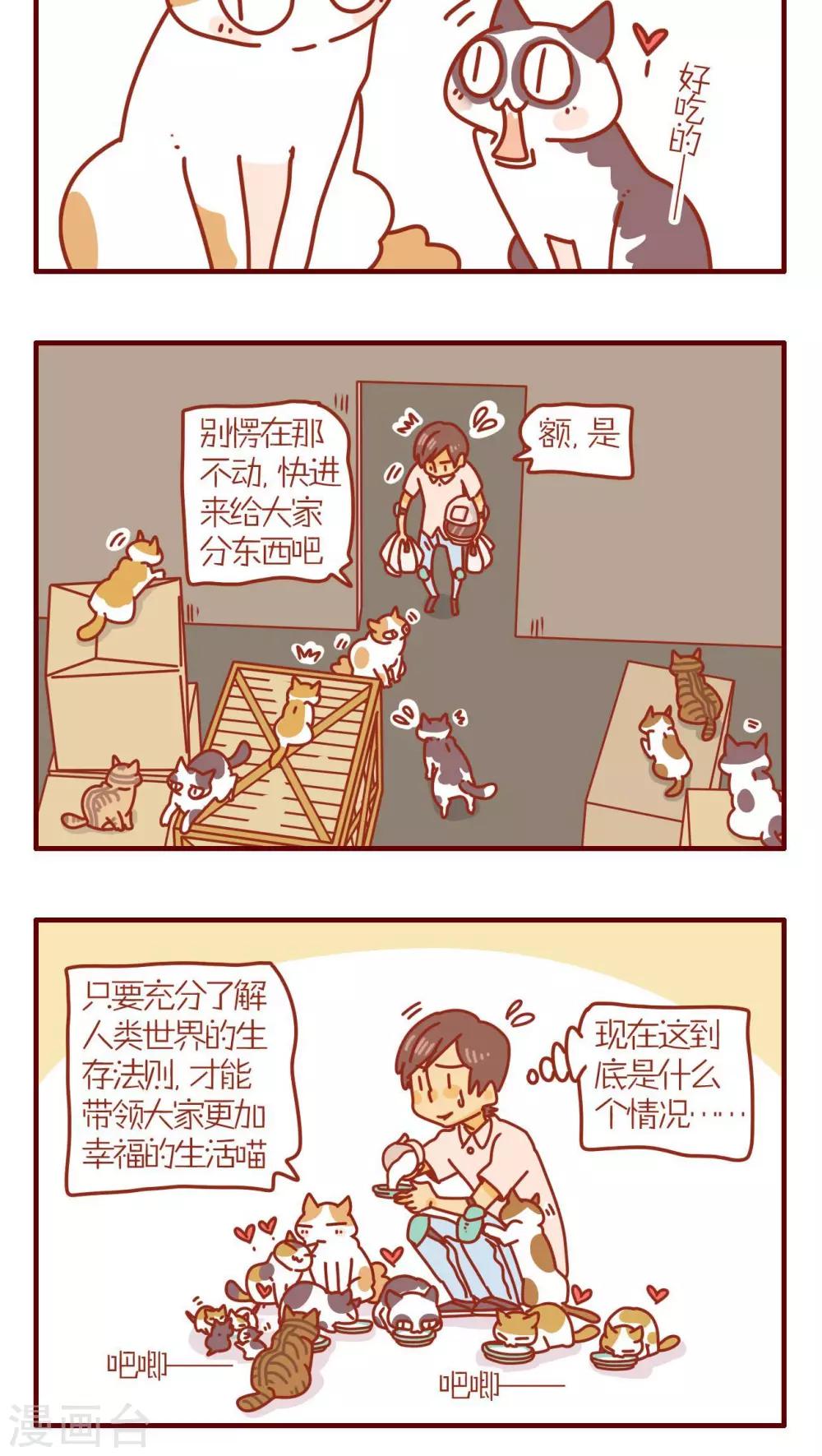 《猫咪甜品屋》第77话 第4页