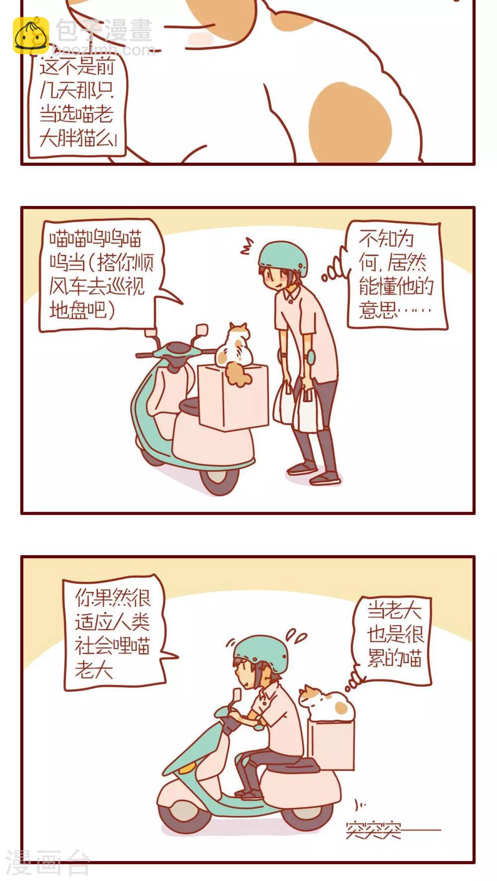 《猫咪甜品屋》第78话 第4页