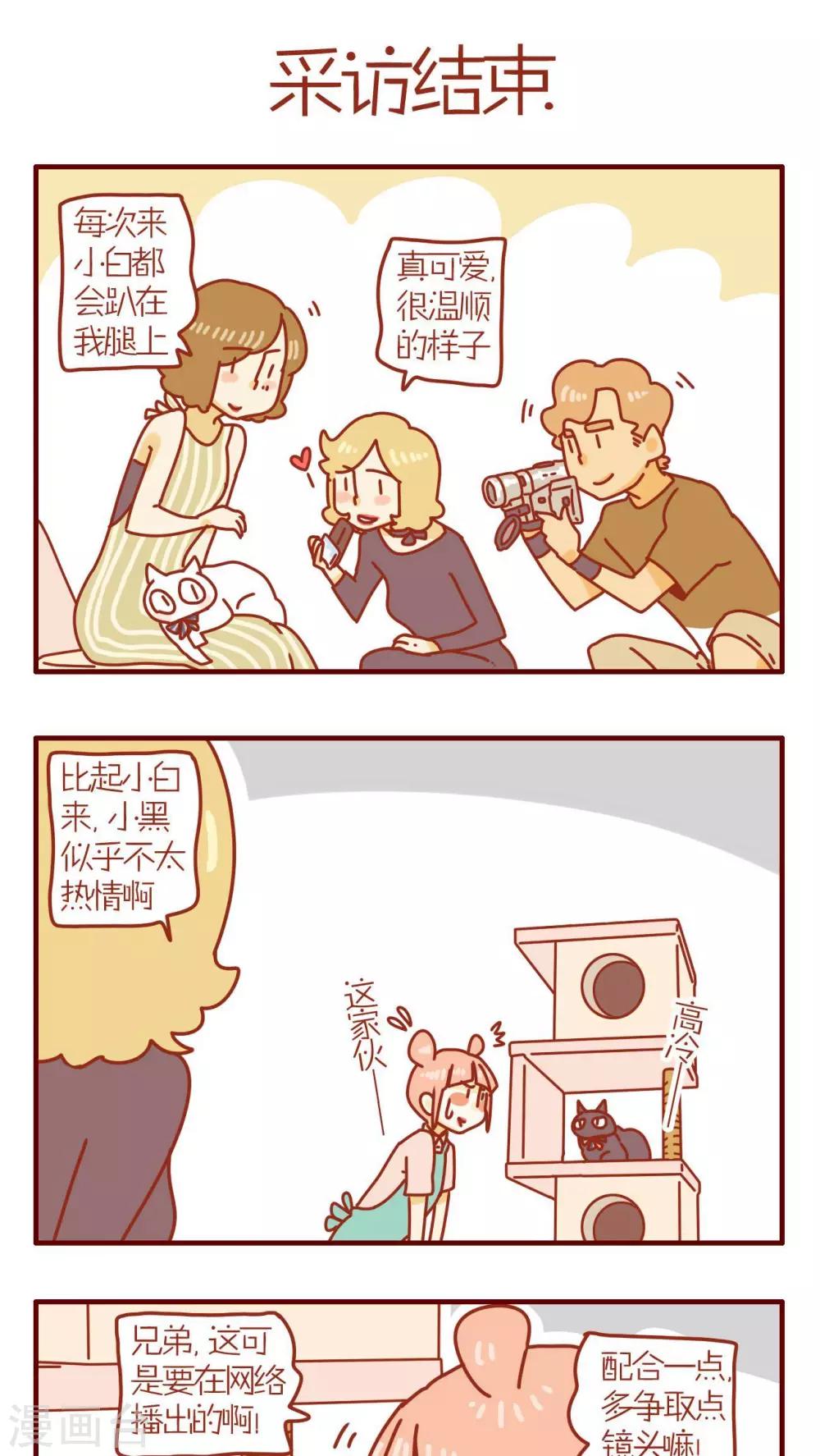 《猫咪甜品屋》第83话 第1页