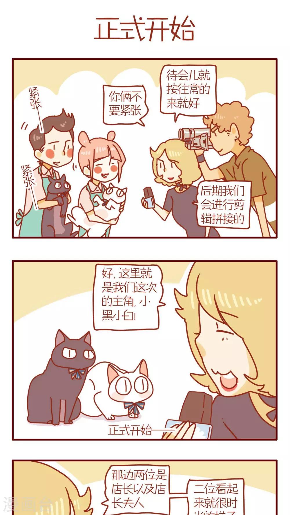 《猫咪甜品屋》第82话 第1页