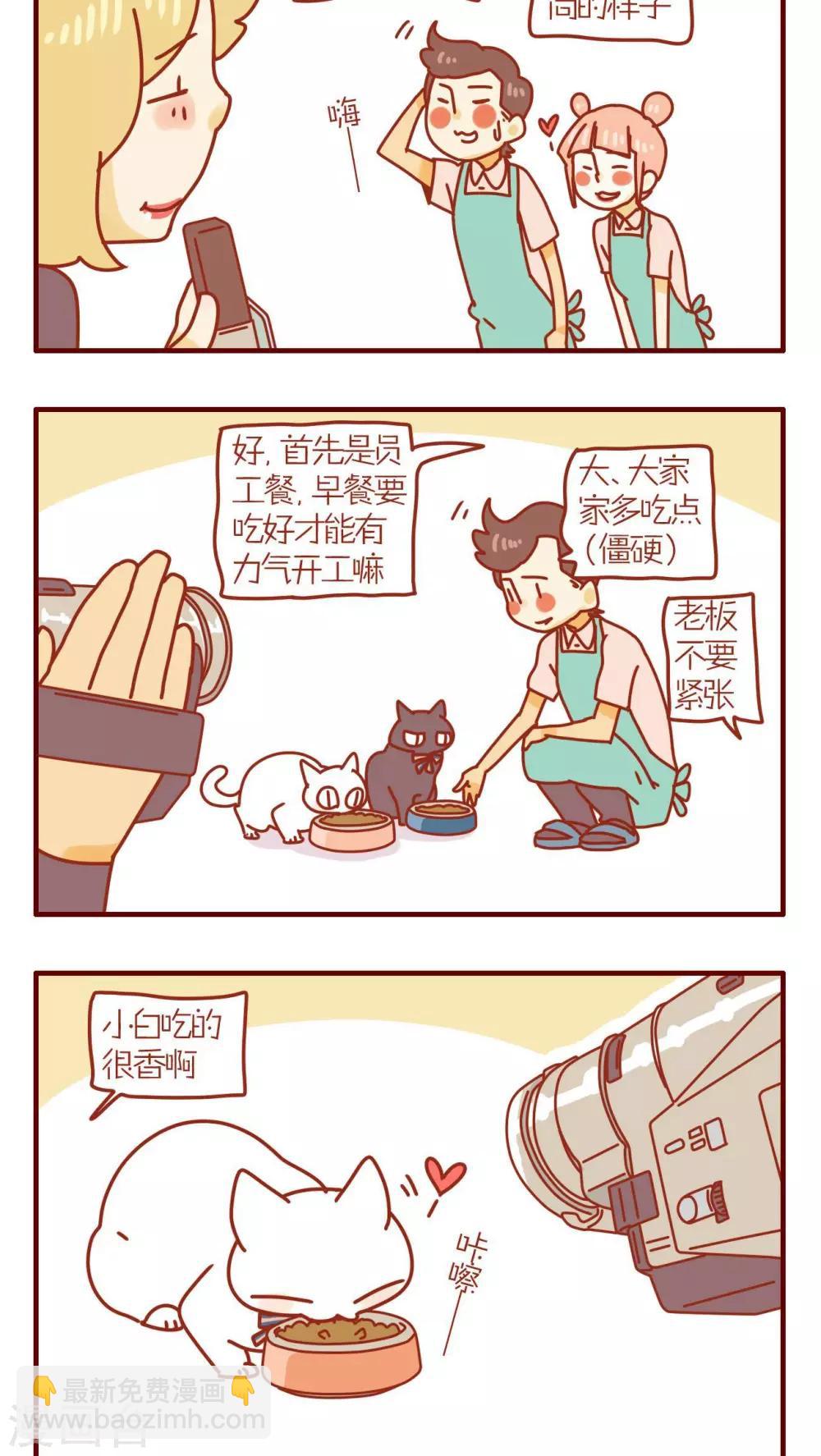 《猫咪甜品屋》第82话 第2页
