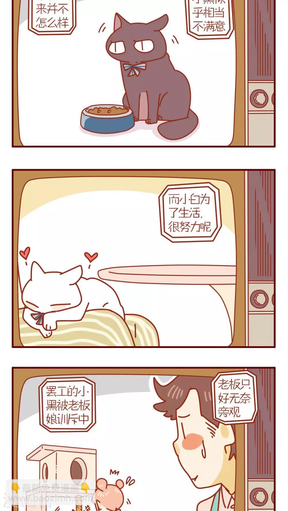 《猫咪甜品屋》第84话 第4页