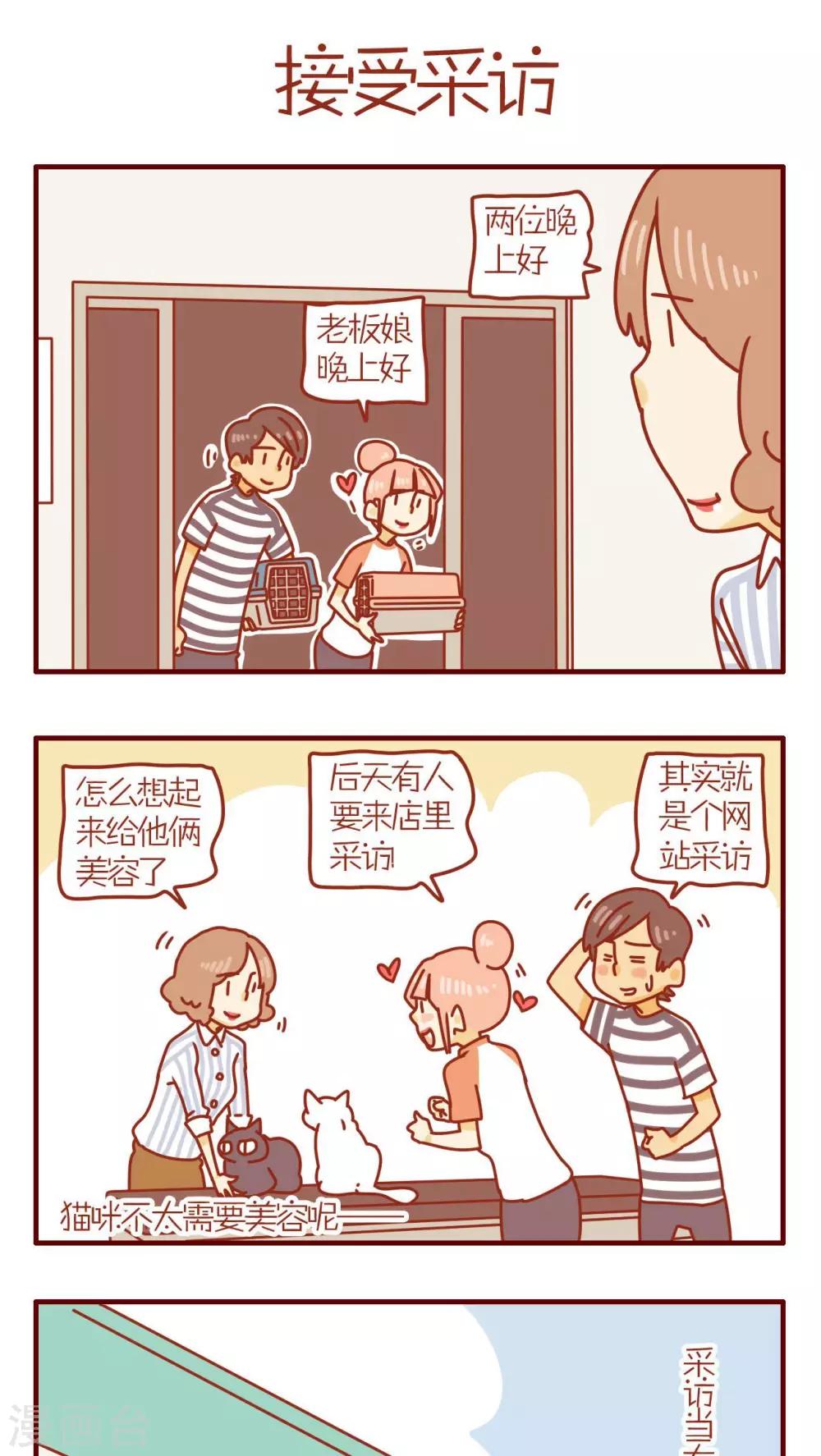 《猫咪甜品屋》第81话 第1页
